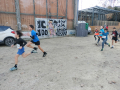 IMG20241211124438