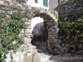 p1080745-800x600
