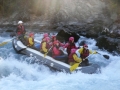 SAM_0732