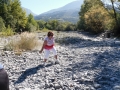 SAM_0741